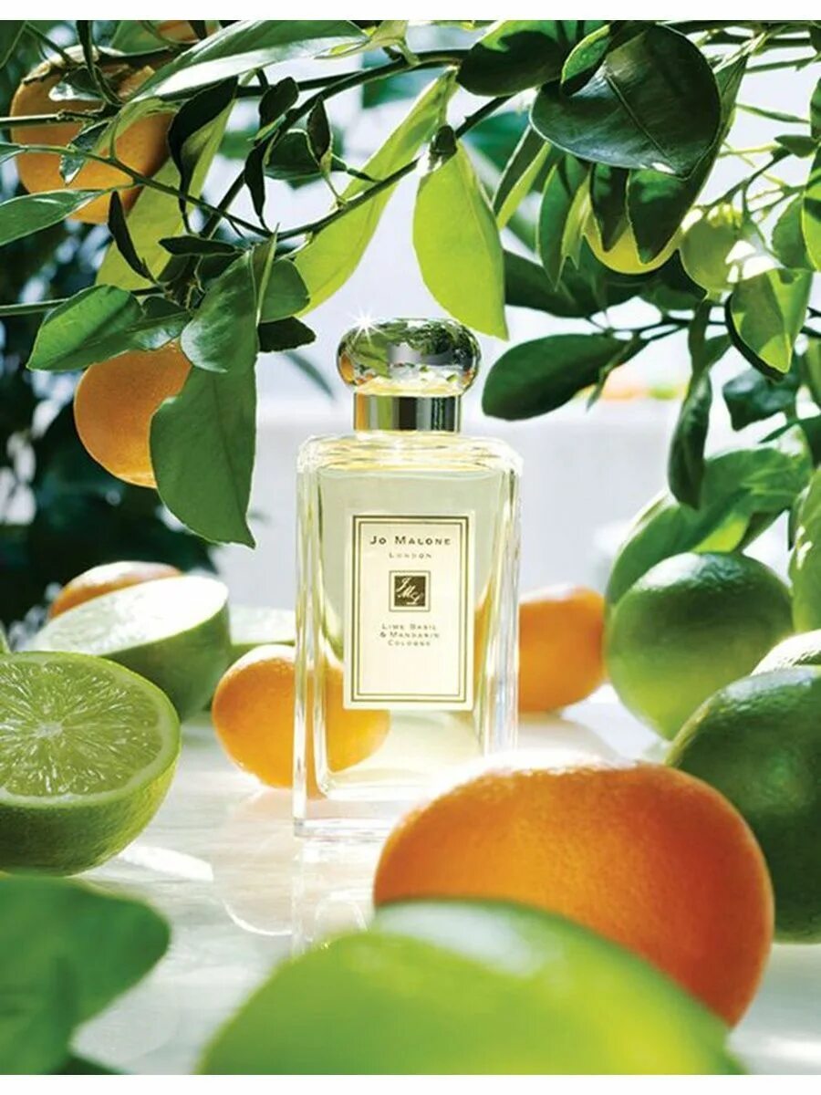 Духи Джо Малон лайм. Джо Малон духи мандарин базилик. Jo Malone духи Lime Basil Mandarin. Парфюм Jo Malone - Lime Basil🌿 & Mandarin. Лайм базилик мандарин