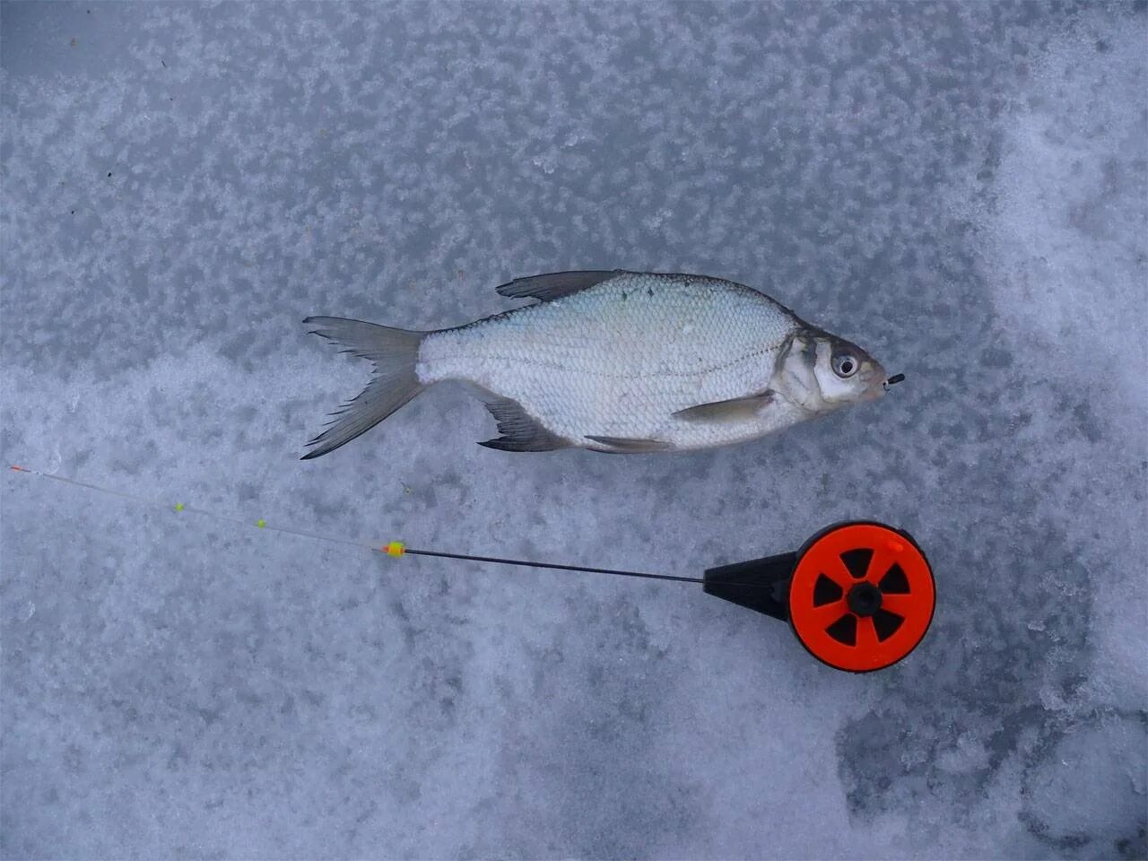 Мормышка лещевая зимняя. Ловля леща со льда на мормышку. Мормышки для ловли подлещика зимой. Мормышка на леща зимой. Ловля леща со льда на мормышку.