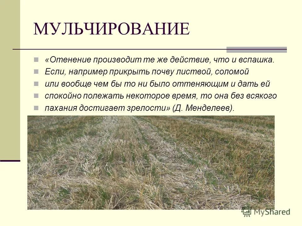 Технология посева ноу тилл. Почвозащитное земледелие в сельском хозяйстве. Характеристика почвозащитных систем земледелия. Севообороты в земледелии. Что такое почвозащитное земледелие.