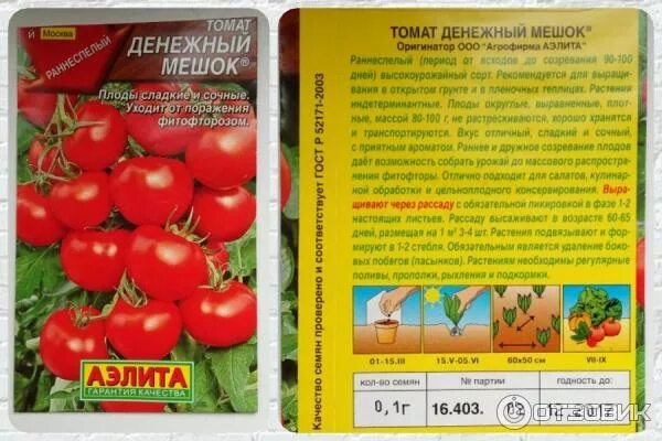 Томаты мешках отзывы