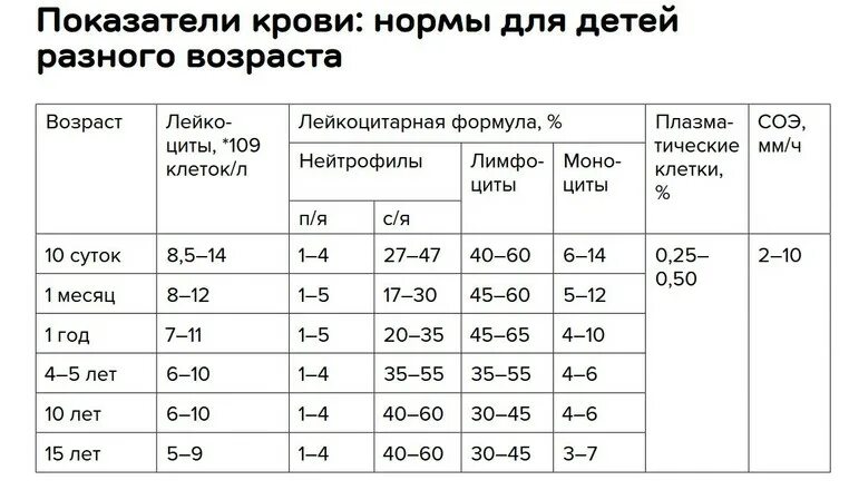 Сегменты норма. Норма лимфоцитов в крови у ребенка 5 лет. норма лейкоцитов в крови у ребенка 5 лет. норма лимфоцитов в крови у ребенка 3 года. норма лейкоцитов в крови у ребенка 2 года.