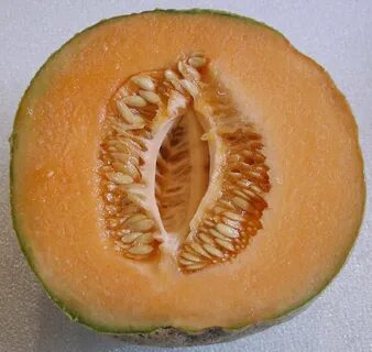 Дыня в разрезе