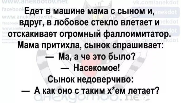 Маму в машине сын рассказ. Фалоимитатор в лобовое стекло анекдот. Анекдот про фаллоимитатор. Анекдот про фаллоимитатор влетевший в лобовое стекло. Едет семья на машине вдруг в лобовое стекло.