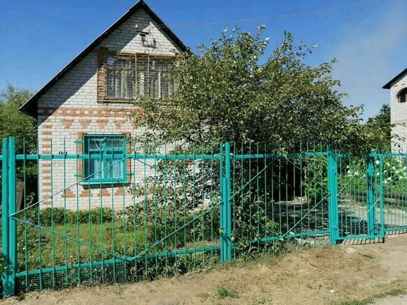 Снт русь волгоградская область. Земля в саду. Снт русь волгоградская область. Снт русь волгоградская область. Дачный массив винновка.