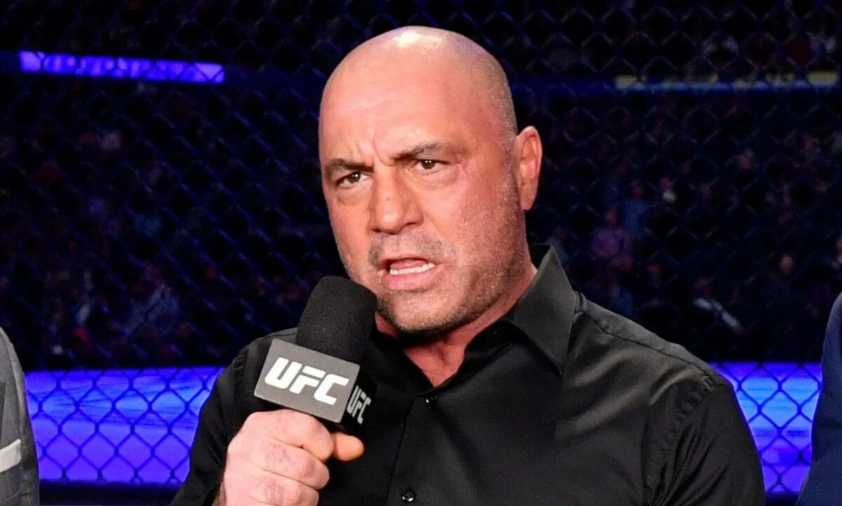 Карточка джо рогана. Джо роган ufc. джо роган торс. подкаст джо рогана. комментаторы ufc.