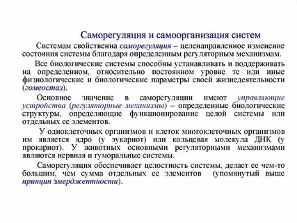 Теория саморегуляции