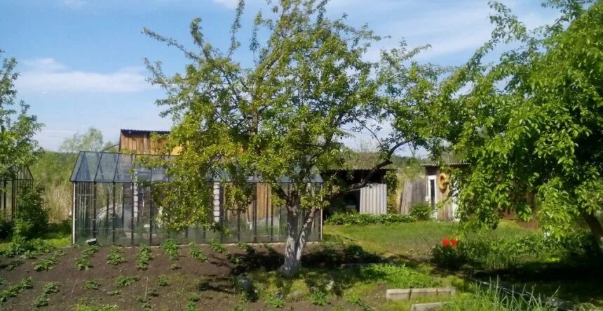 земельный участок золотой лес теренкуль. снт кварц кыштым. снт кварц кыштым. продажа садов в кыштыме челябинская область. дом отдыха кыштым.