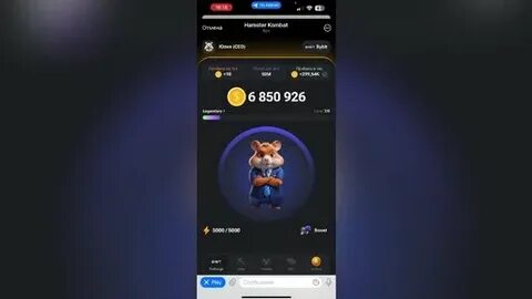 Хамстер комбат на 30