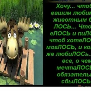 Чтоб моглось тост