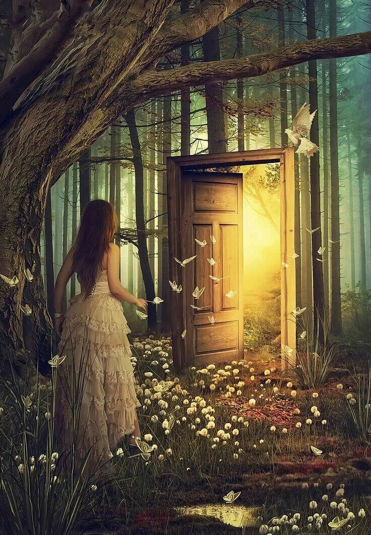 Закрыть дверь в прошлое. Таинственная дверь. Открытые двери. Дверь в новую жизнь. Сказочная дверь.