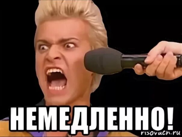 Немедленно. Немедленно Мем. Хочу немедленно. Немедленно картинка.