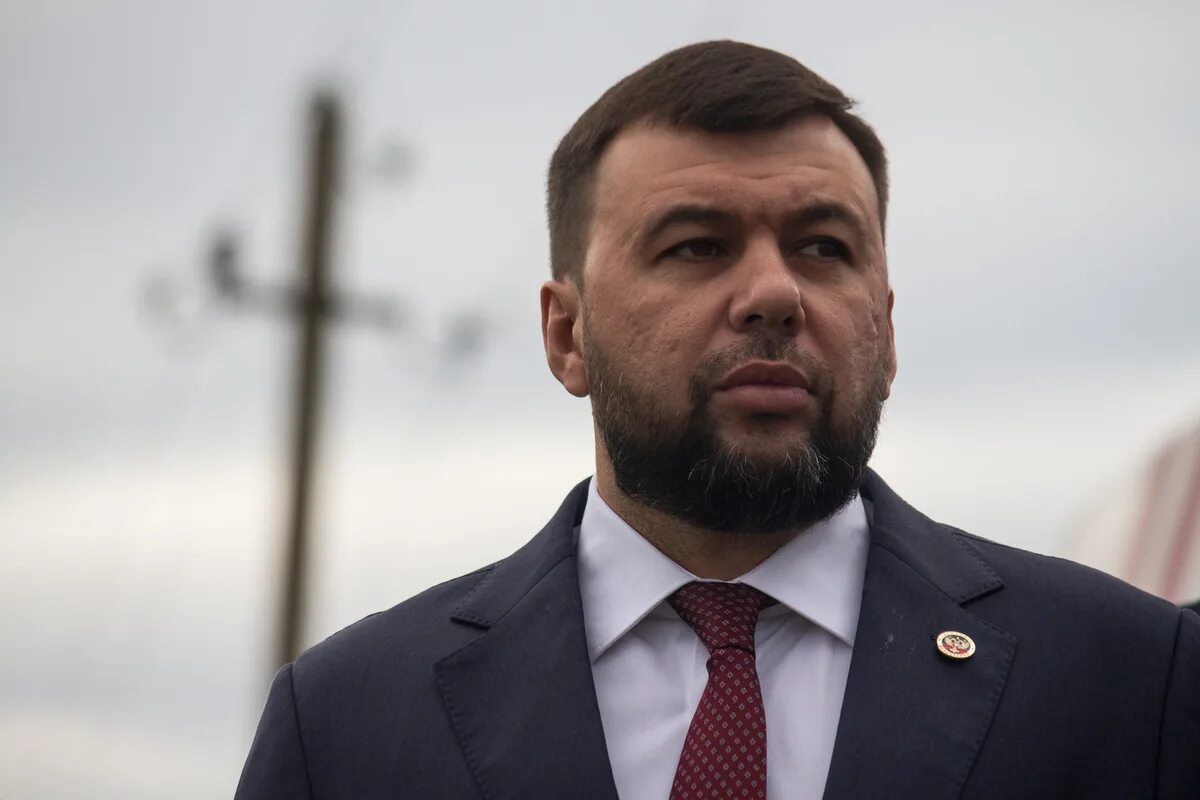 Интервью с дисом пушилином. Интервью с дисом пушилином