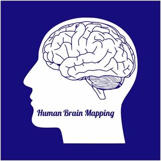 Brain maps