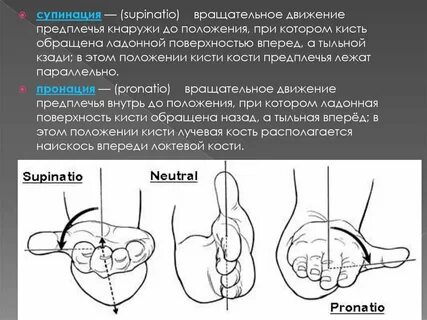 Супинация это