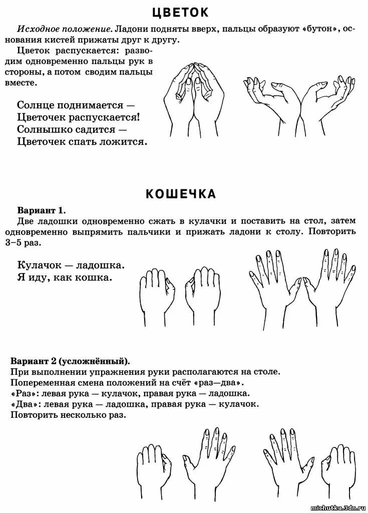 Пальчиковая комнатные растения