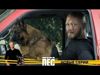Собак новый ролик