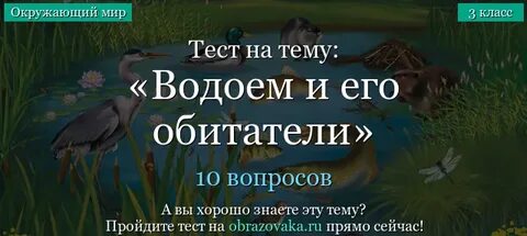 Водоем тест