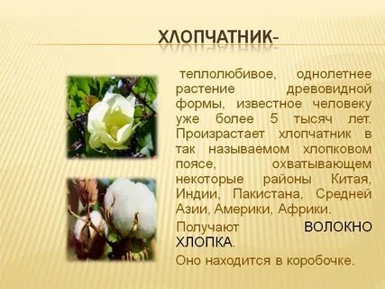 3 страны хлопок