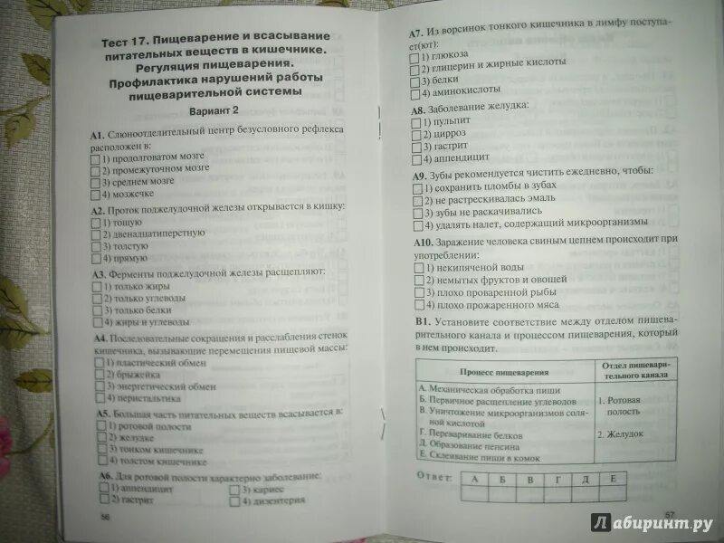 Биология 7 класс контрольно измерительные. 8 Класс биология контрольно измерительные. Биология 8 класс тесты. Тест по биологии 8 класс пищеварительная система. Тест по биологии по пищеварительной системе.