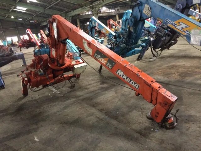 сочи парк декабрь 2022. сергеевна конгрессе молодых ученых. на конгресс молодых ученых приехали. конгресс молодых ученых университет итмо.