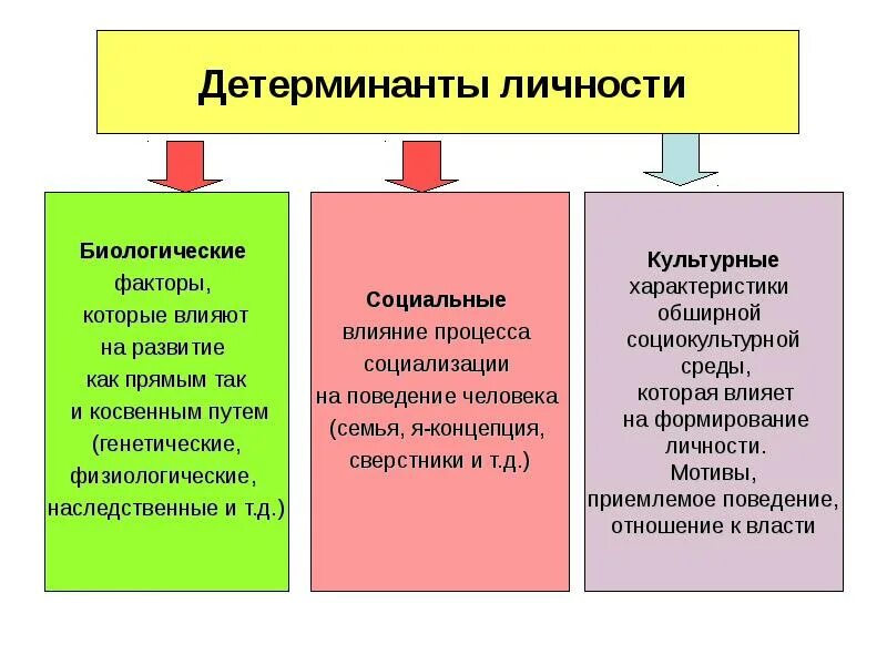 Биологические факторы развития личности в психологии. Биологические и социальные факторы формирования личности. Социальные факторы развития личности. Влияние биологического фактора на формирование личности. Факторы психологического развития человека