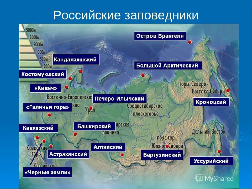 Крупнейшие заповедники россии на карте. Крупнейшие заповедники России на контурной карте. Заповедники России названия. Природные заповедники на карте.