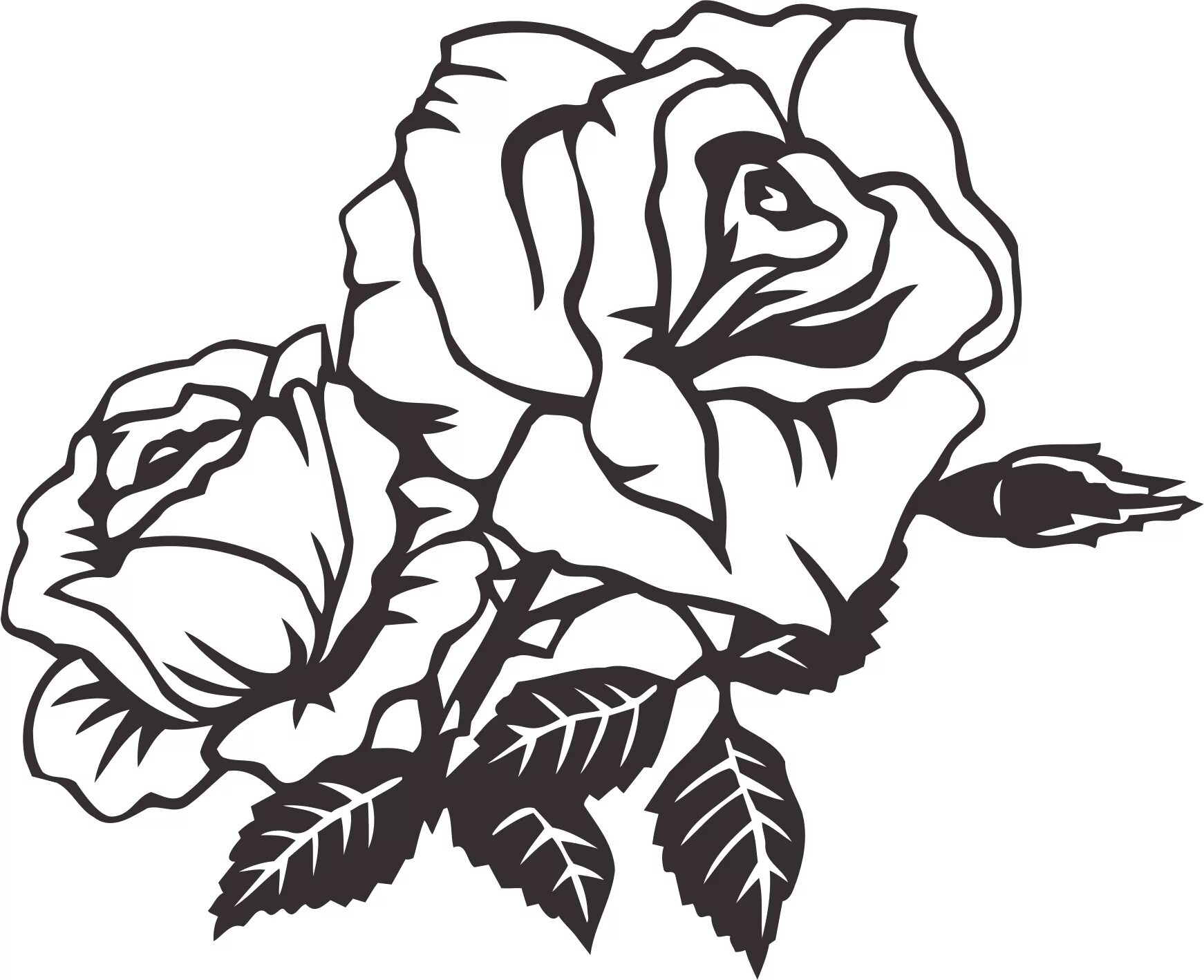 Вектор ч б. Цветы векторный рисунок. Черно-белый цветок. Орнамент розы.