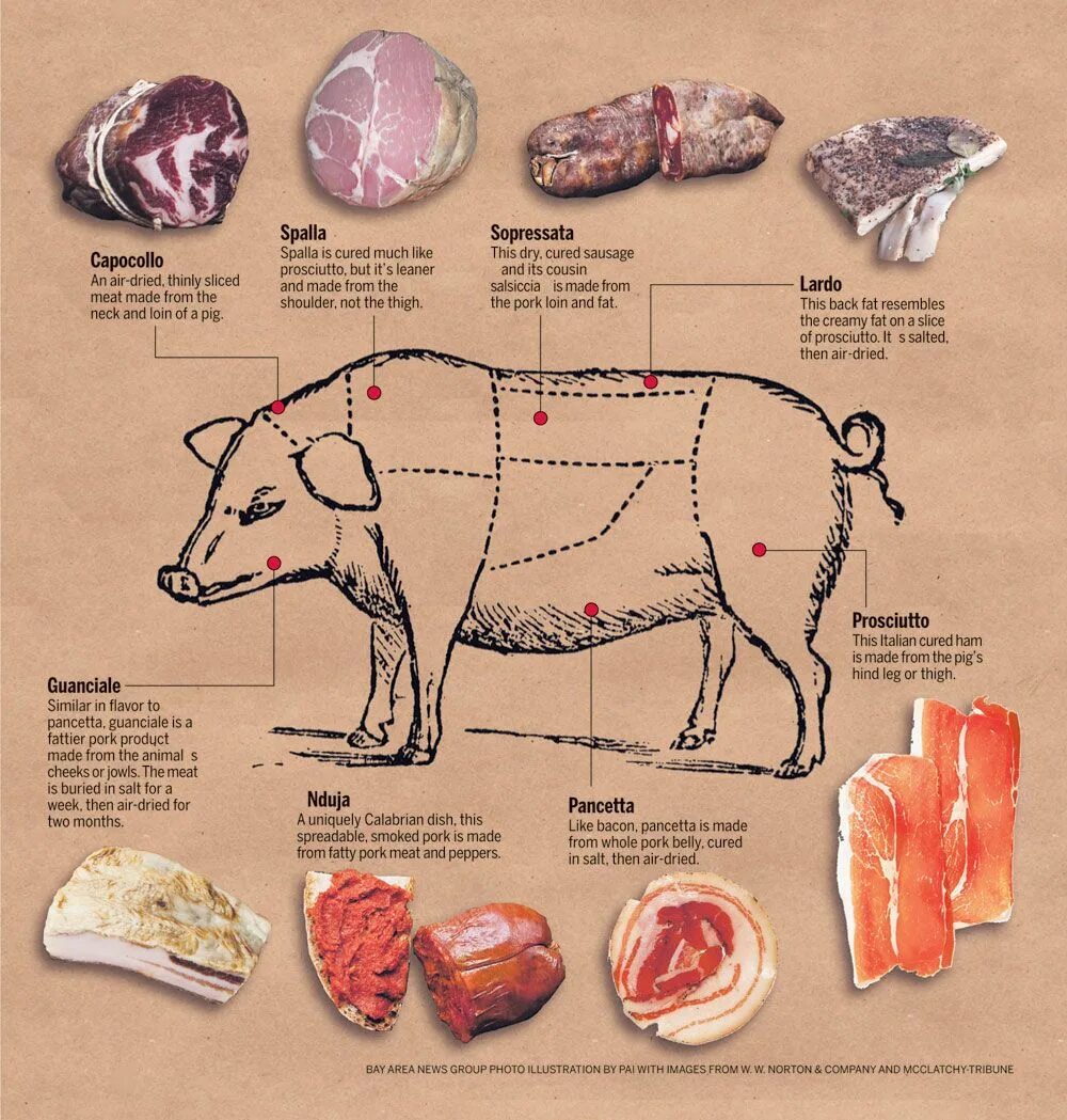 Лучшая часть мяса говядины. Части туши свинины антрекот. Антрекот схема разделки. Схема разделки свиной туши на стейки. Название частей мяса свинины.