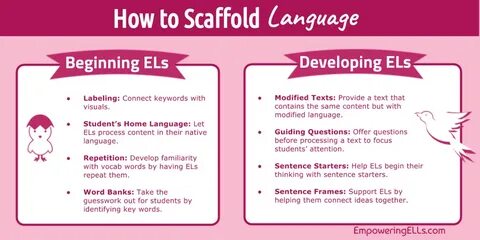 How language began