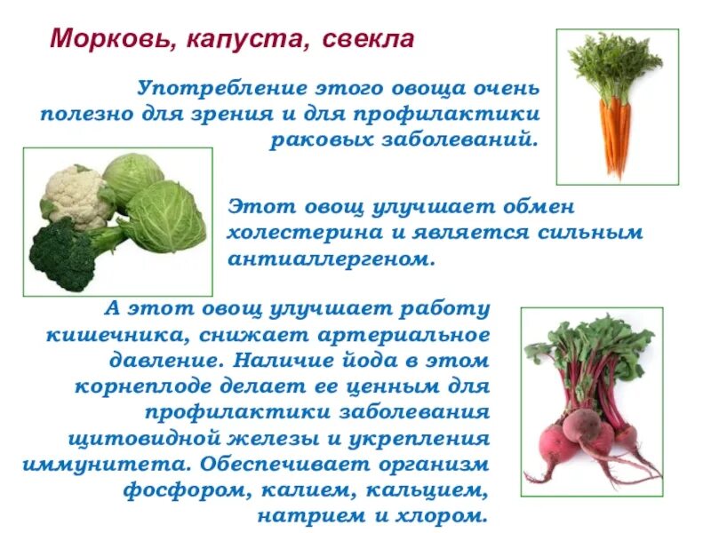 Сколько надо соли на 1 кг капусты. Какие витамины в свекле, моркови и капусте. Сколько моркови в капусту. Обработка капусты и моркови. Свежие овощи.