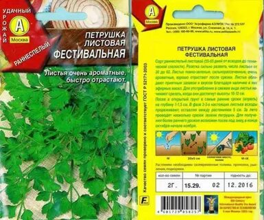 Посев петрушки в марте 2024