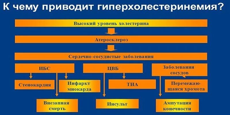 Наследственная гиперхолестеринемия. Гиперхолестеринемия. Гиперхолестеринемия это атеросклероз. Гиперхолестеринемия причины. Гиперхолестеринемия патогенез патофизиология.