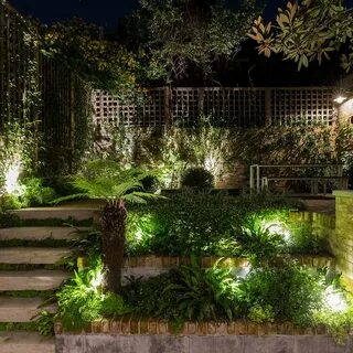 Back garden