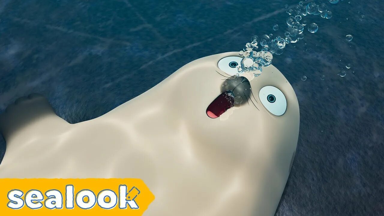 The little seal is laughing at us. Sealook мультфильм. Sealook тюлень Чайка. Sealook тюлени номера. Sealook 003 031.