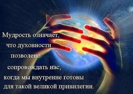 Мудр обозначает мудрый