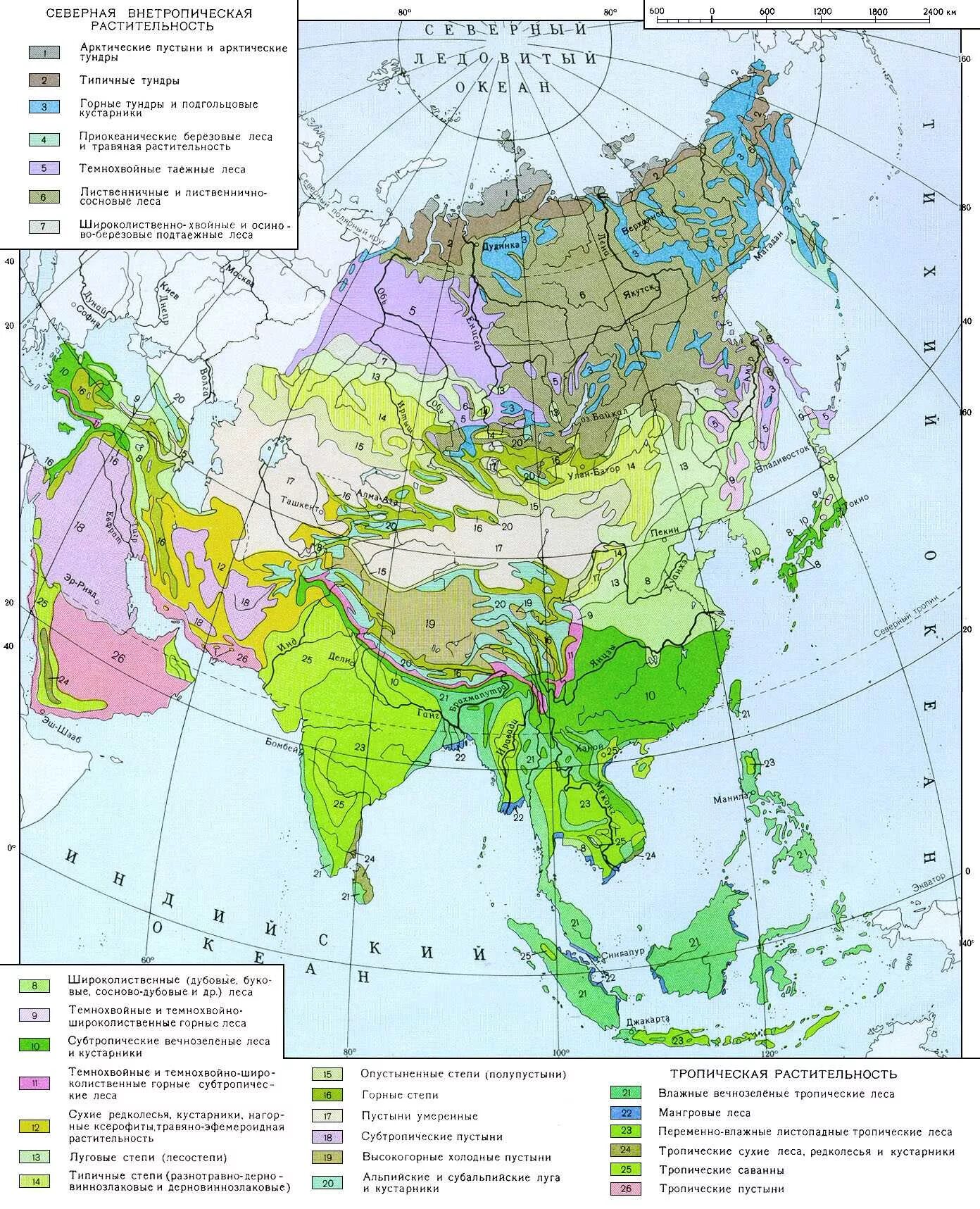 Почвенная карта Евразии карта. Карта почв Юго Восточной Азии. Климатическая карта Азии. Карта природных зон Восточной Азии. Какой климат в восточной азии