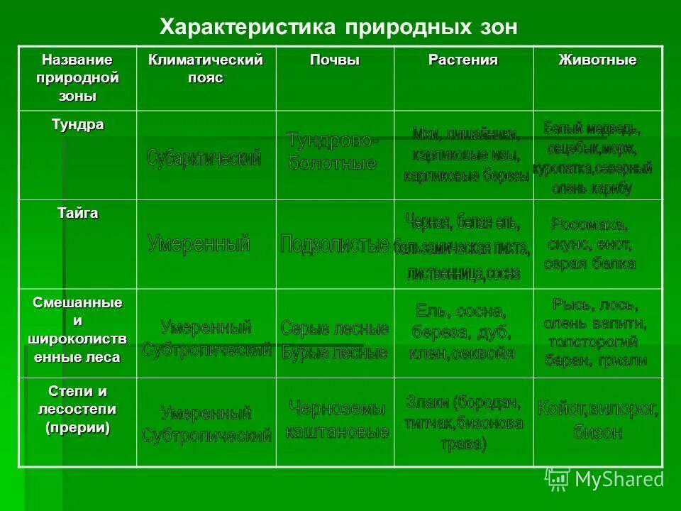 Природные зоны расположенные в умеренном поясе. Таблица природные зоны климатический пояс почвы растения животные. Зона лесов географическое положение климат почва растения животные. Климатические пояса и природные зоны России таблица. Климатический пояс природная зона таблица.