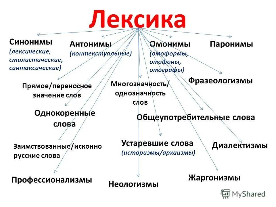 Презентация на тему лексика. Лексика. Лексика русского языка. Лексика и фразеология. Лексика синонимы антонимы омонимы.