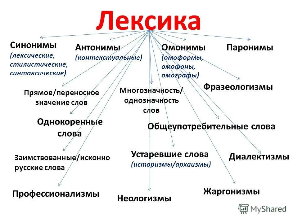 Лексические группы языка