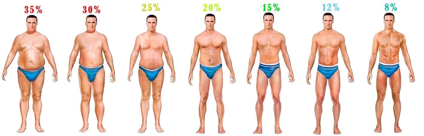 20 Процентов жира в организме мужчины. 20 Жира в организме мужчины фото. Как выглядит разный процент жира у мужчин. Процент подкожного жира у мужчин.