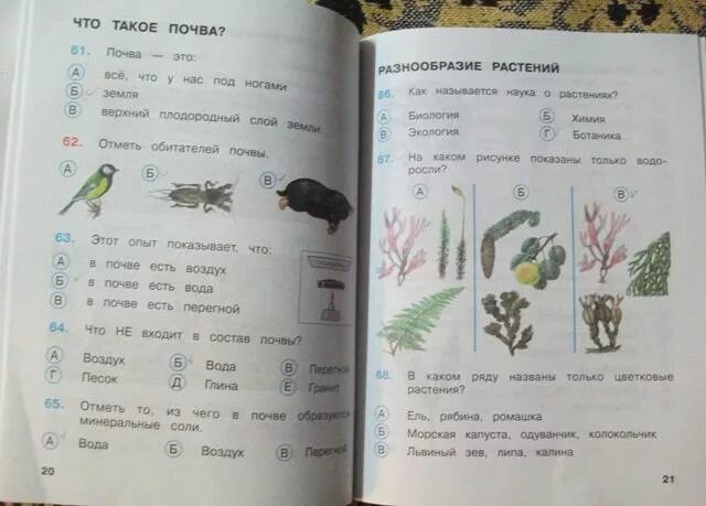 Тест окружающий мир 3 класс Плешаков школа России. Тест по окружающему миру 3 класс. Окружающий мир. 3 Класс. Тесты. Окружающий мир 3 класс тестирование. Окр мир 4 класс школа россии тест