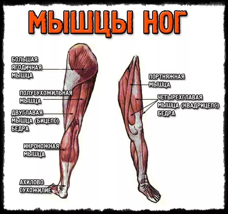 Выше колена как называется
