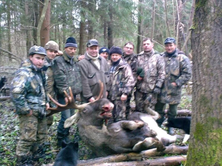 Калужское охотхозяйство. Медынский район озерное база. Деревня озерное калужская область медынский район. Калужское охотхозяйство. Охотхозяйство кукуевка брянская область.