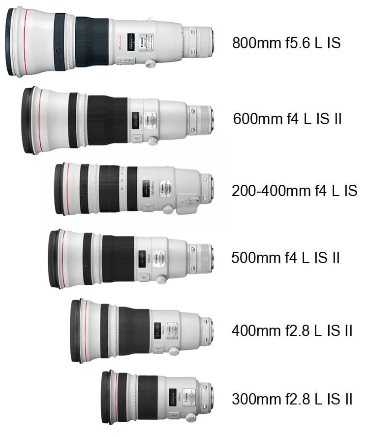 Телевик для canon. Телевик canon 600mm. объективы телевики для canon. объектив телевик для canon. телевик 400mm канон.