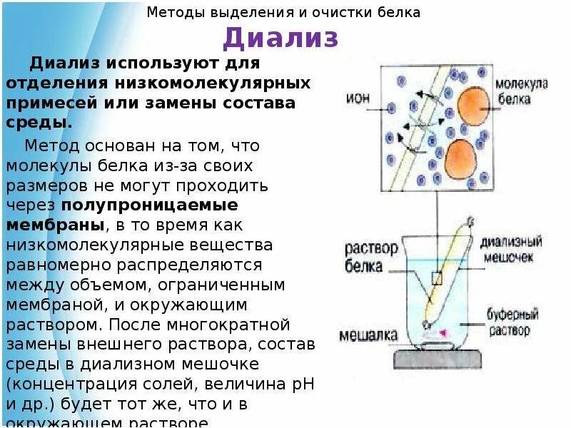 Методы очистки белка. Ультрафильтрация белков. Очистка белков от низкомолекулярных примесей. Диализ через полупроницаемую мембрану. Схема ультрафильтрации белков.