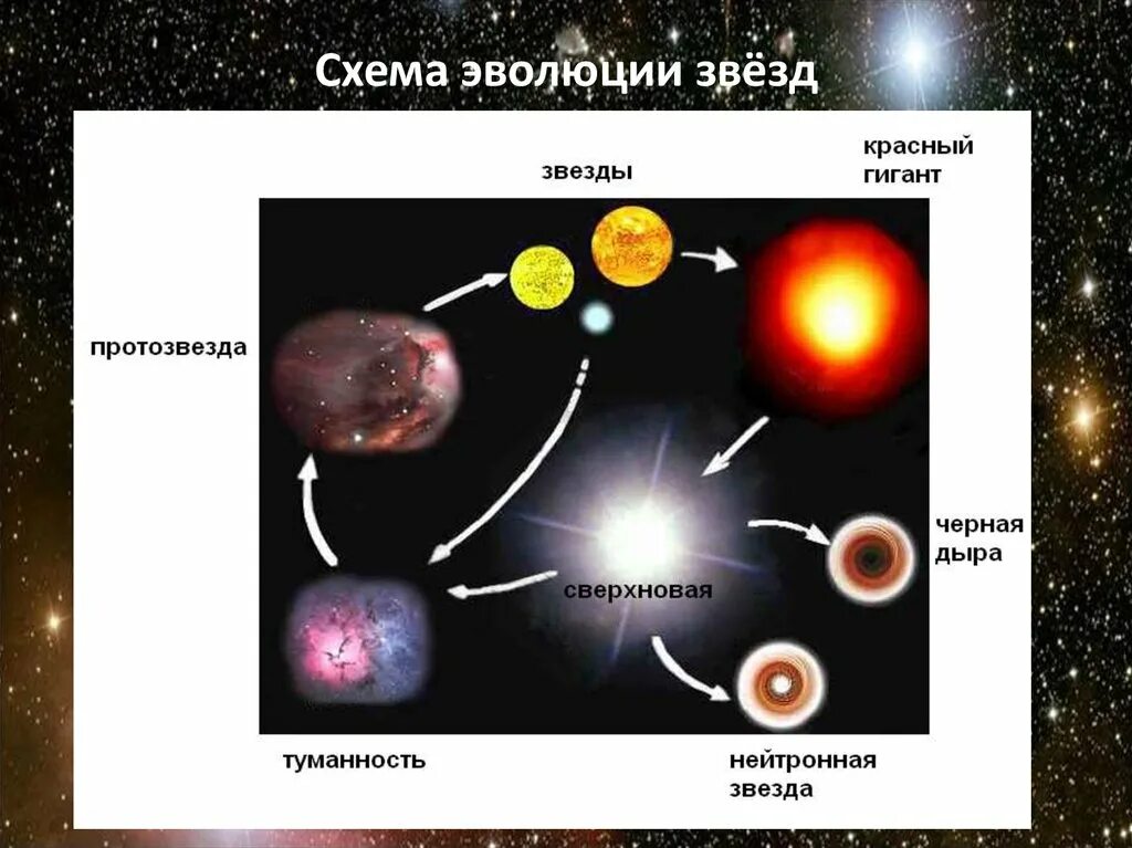 1 эволюция звезд. Эволюция звёзд схема протозвезда. Схема звездной эволюции. Жизненный цикл звезд протозвезда. Звезды Эволюция звезд.