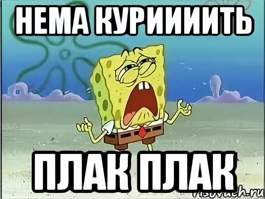 Чо ты плаки плаки