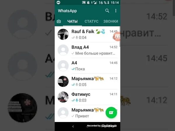 Fake detail whatsapp