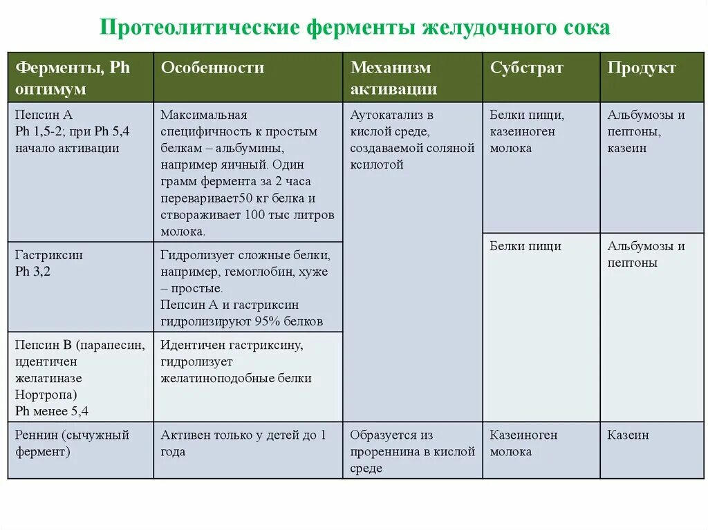 Пищеварение в ротовой полости таблица. Пищеварение в ротовой полости и в желудке таблица. Пищеварение в ротовой полости и в желудке. Процесс пищеварения в ротовой полости и желудке. Ферменты желудка таблица