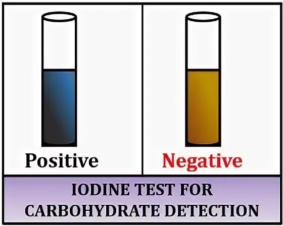 Тест 2 углеводы. Iodine Test. Reaction of starch with Iodine. Цветность 3 Iodine и 5 что темнее йодная шкала. Minors Iodine Test.